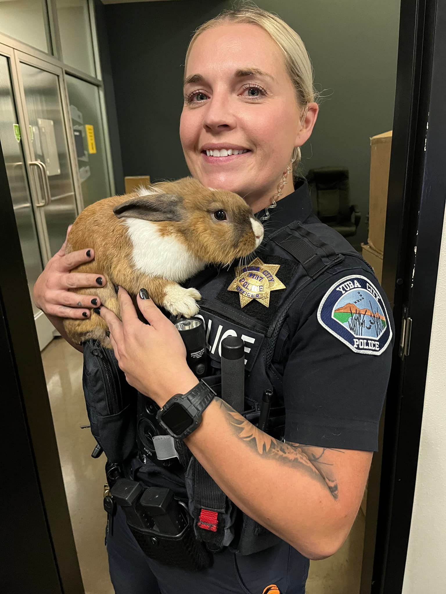 Percy se tornou um animal importante para o departamento de polícia. Foto: Reprodução/Facebook/Yuba City Police Department