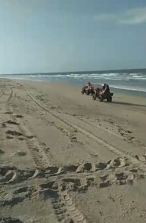  Mas há um problema. É que, além de caminhar e se banhar, turistas usam carros e motos para se divertir na faixa de areia das praias. E ocorrem casos de atropelamento das tartaruguinhas. Reprodução: Flipar