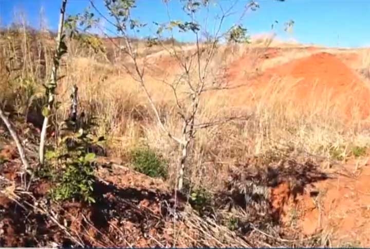 Segundo uma pesquisa feita pela Universidade Federal do Paraná (UFPR), o processo de desertificação na cidade iniciou entre as décadas de 1940 e 1950, e foi impulsionada principalmente por práticas como mineração e agropecuária (base econômica da cidade).