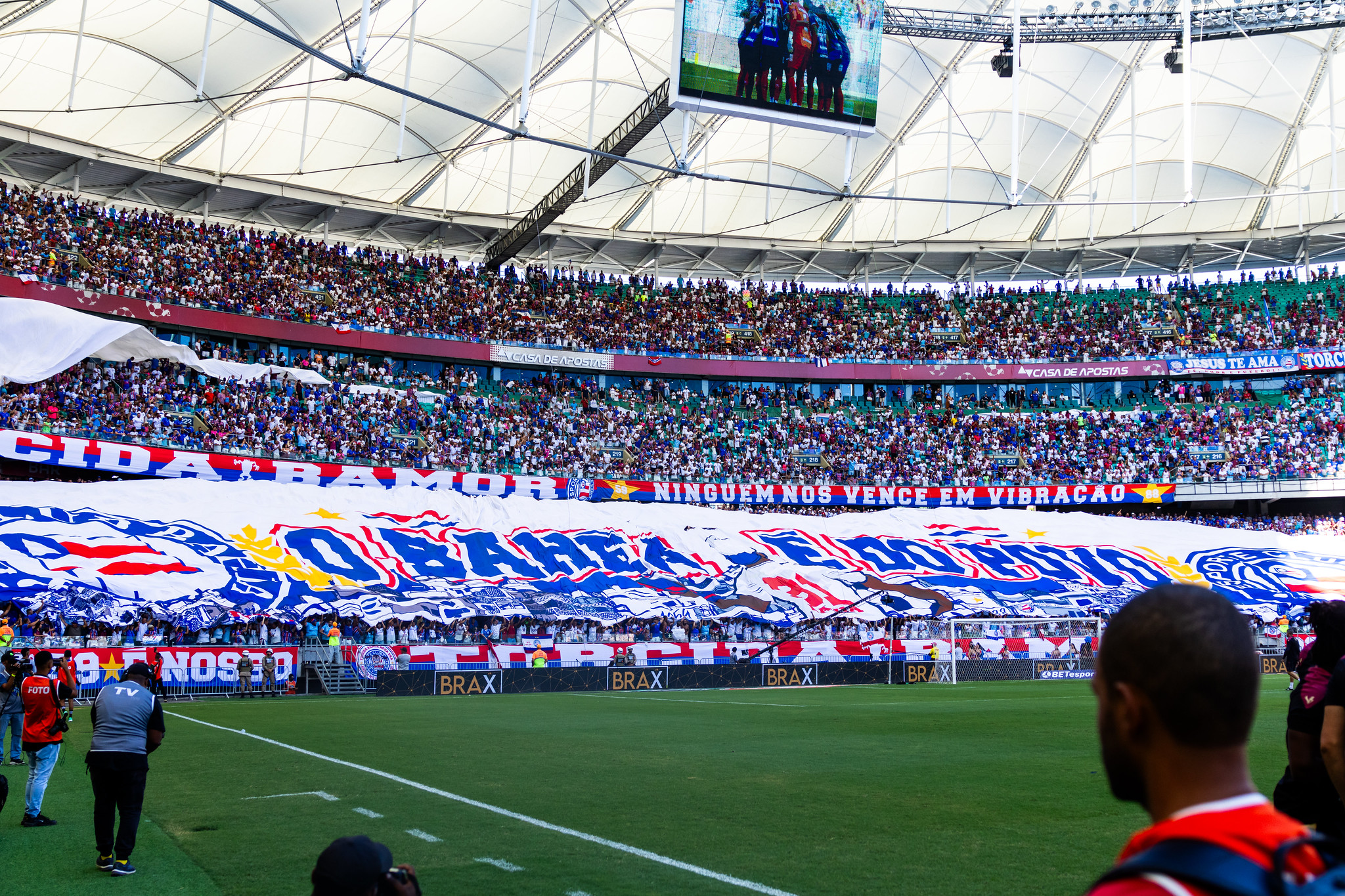 Torcida do Bahia. Foto: Letícia Martins/ EC Bahia