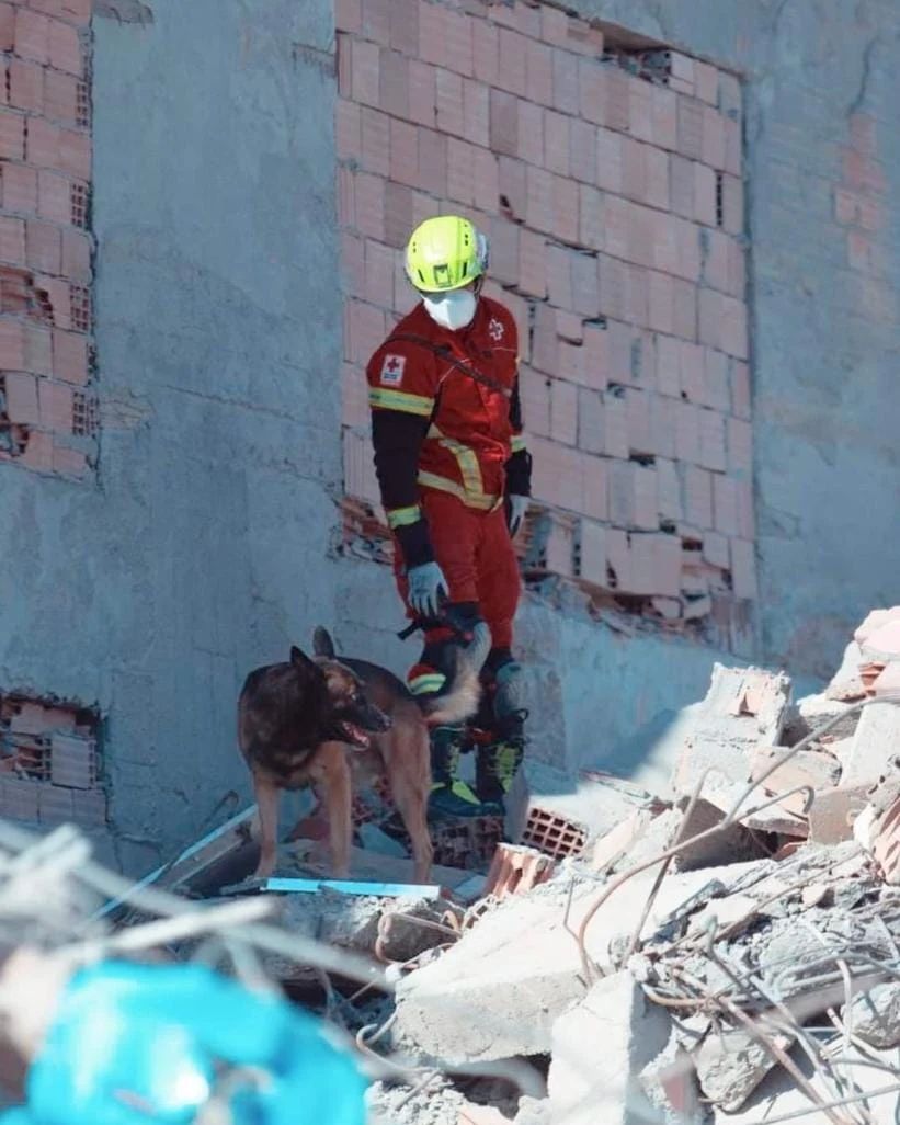 Cães de resgate ajudaram a salvar centenas de vidas após o terremoto na Turquia. Foto: Reprodução/Instagram 21.04.2023