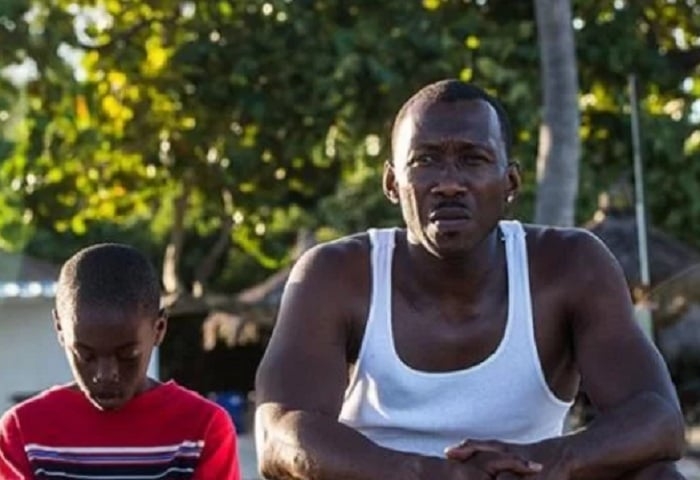 Moonlight: Sob a Luz do Luar (2017)
Dirigido por Barry Jenkins, estrelado por Trevante Rhodes, André Holland e Janelle Monáe.
A jornada de autodescoberta de um jovem afro-americano lidando com sua identidade e sexualidade em um bairro difícil de Miami Reprodução: Flipar