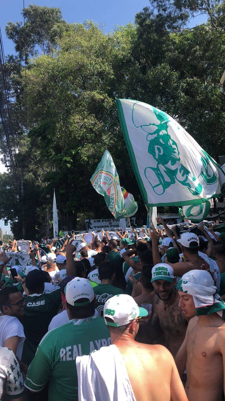 Mancha Alvi Verde, torcida do Palmeiras, comparece ao CT do clube antes de Clássico. Foto: Divulgação