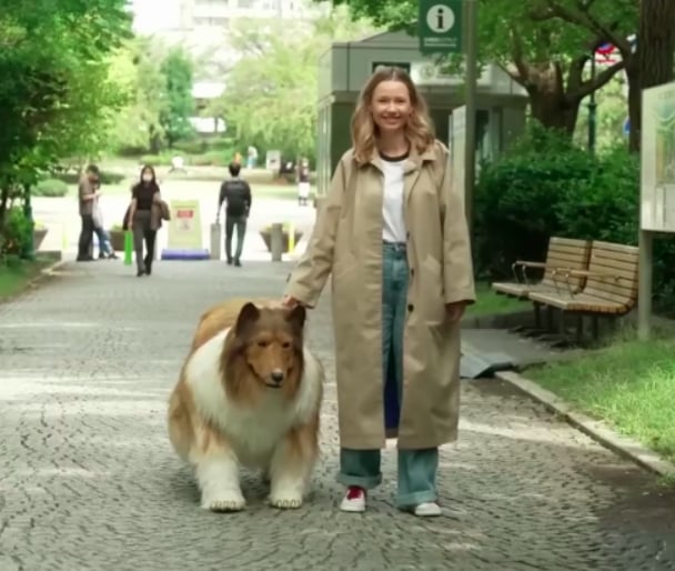 Recentemente, Toco fez seu primeiro passeio público pelas ruas do Japão e publicou o vídeo nas redes sociais. A fantasia da raça collie faz com que ele possa se comportar como animal.   Reprodução: Flipar