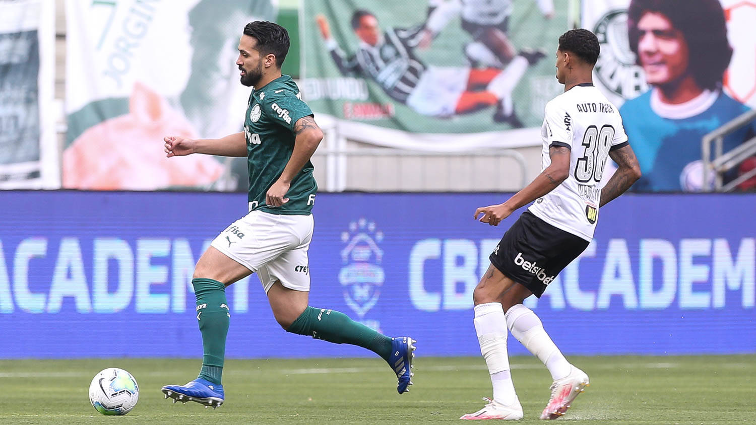 Palmeiras. Foto: Cesar Greco