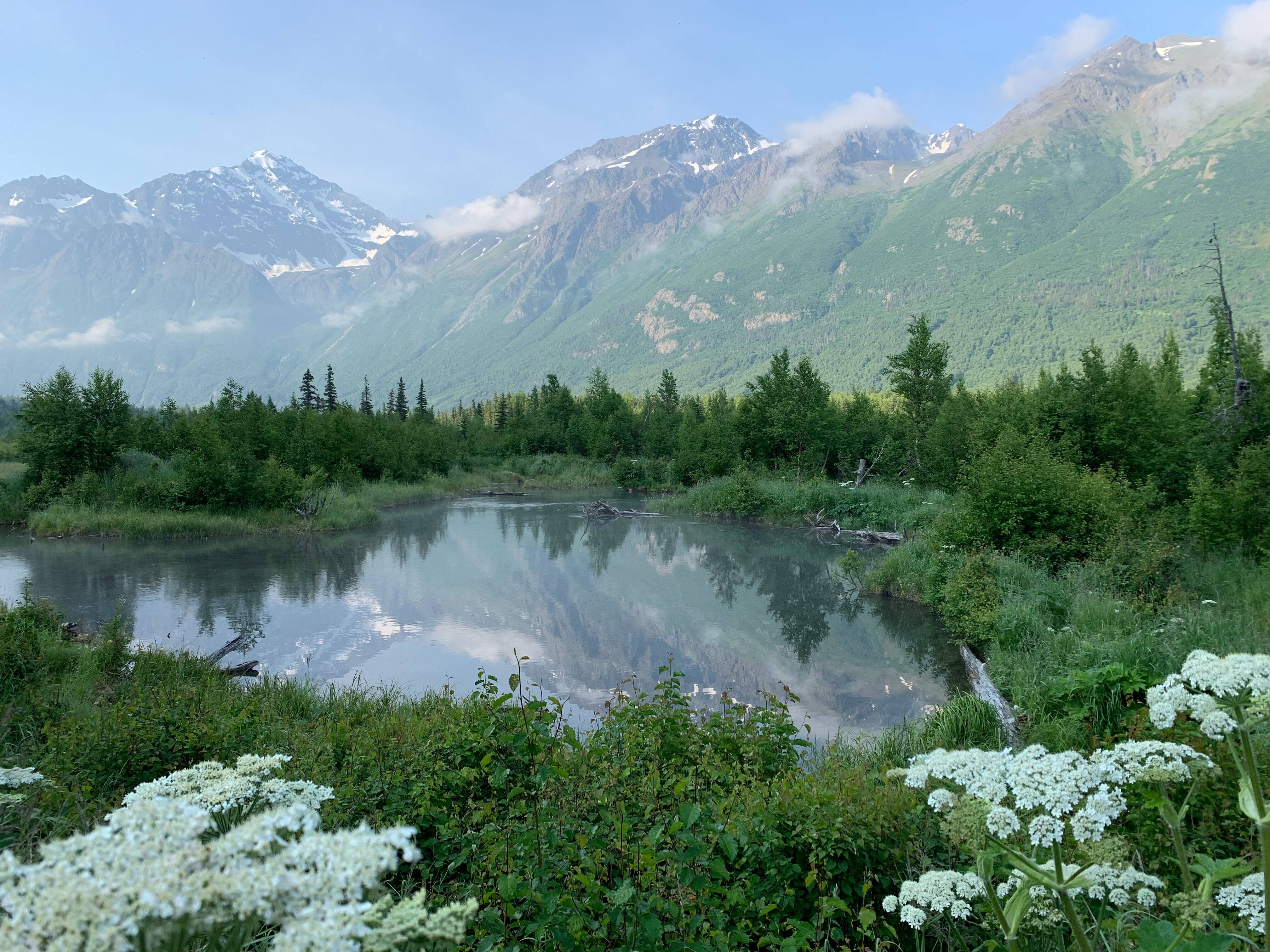O Alasca é um dos 50 estados dos Estados Unidos, mas faz fronteira apenas com o Canadá. Foto: Pexels