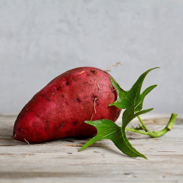 Um dos grandes destaques da batata-doce é a sua alta concentração de betacarotenos. Este potente antioxidante, além de conferir a cor vibrante, atua protegendo as células do corpo contra danos causados por radicais livres e inflamações. Reprodução: Flipar