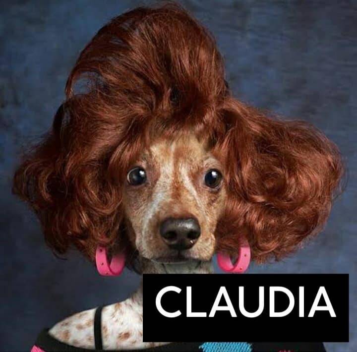 Personagens da série Dark são transformados em cães; veja. Foto: Personagens da série Dark são transformados em cães; veja