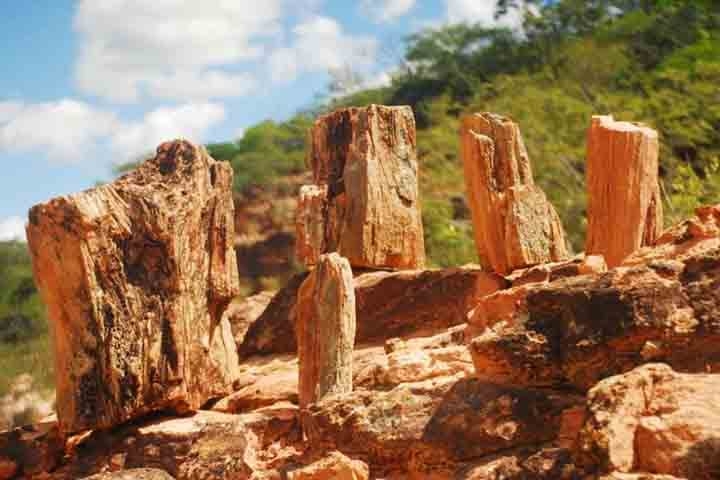 Desde setembro de 2006, está integrado à Rede Mundial de Parques Geológicos, e é reconhecido pela UNESCO como um relevante patrimônio geológico e paleontológico mundial.  Reprodução: Flipar