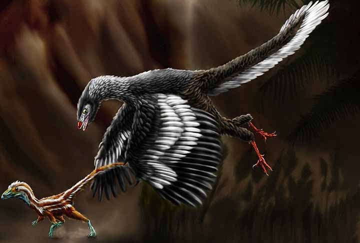 Ela viveu durante o período Jurássico (150 milhões de anos atrás), no que agora é o sul da Alemanha. Na época, a Europa era um arquipélago em um mar raso tropical quente, muito mais perto do equador do que é agora. Reprodução: Flipar