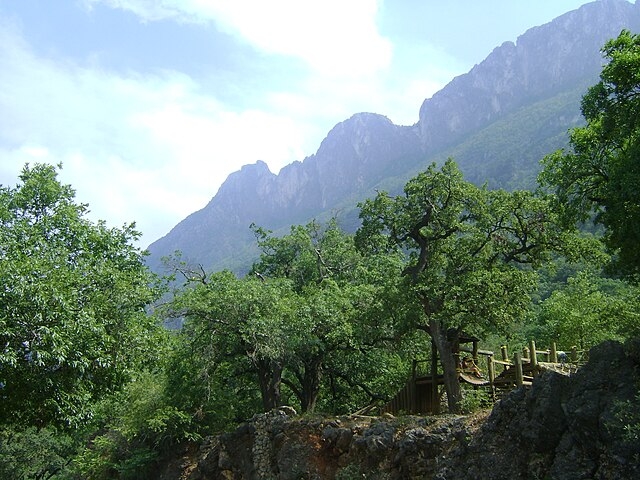 O caso aconteceu no Parque Ecológico Chipinque, em Monterrey, no nordeste do México.  Reprodução: Flipar