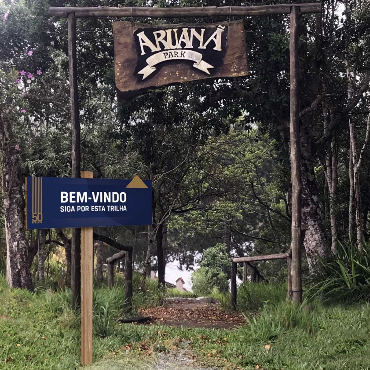 O acampamento está localizado no coração da Mata Atlântica  Divulgação/Aruanã Acampamentos e Eventos