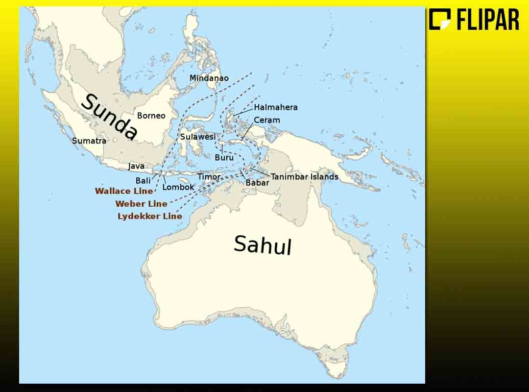 No Sahul, a extensa terra hoje submersa se ligava aos territórios que hoje referem-se a Austrália, Tasmânia e Nova Guiné. Reprodução: Flipar
