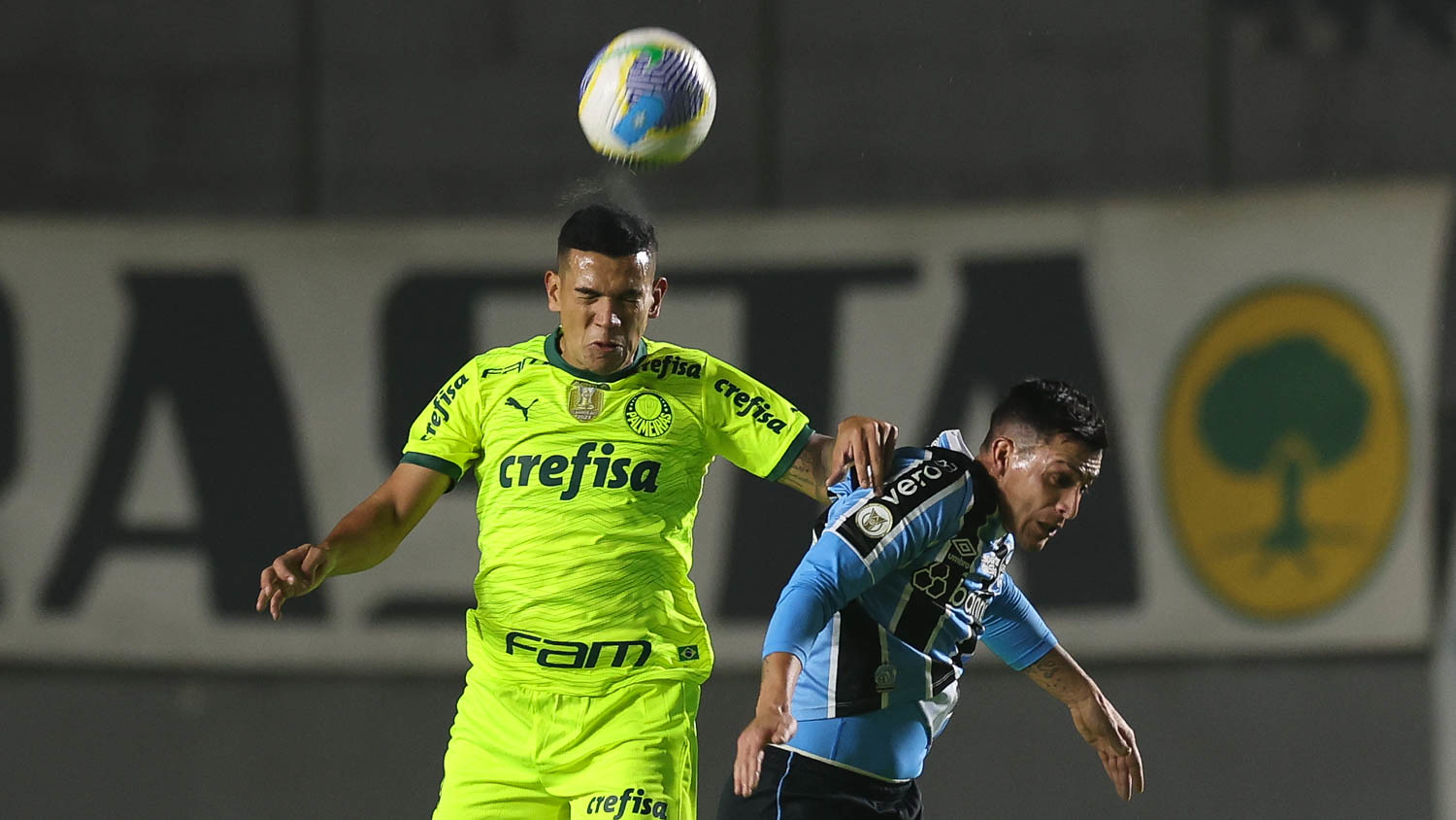 Grêmio x Palmeiras FOTO: Cesar Greco/Palmeiras