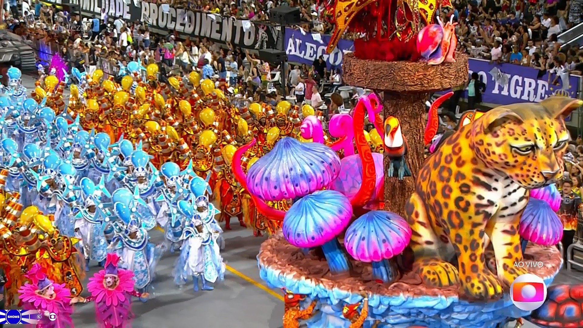 Carnaval SP: Gaviões da Fiel Reprodução/Globo
