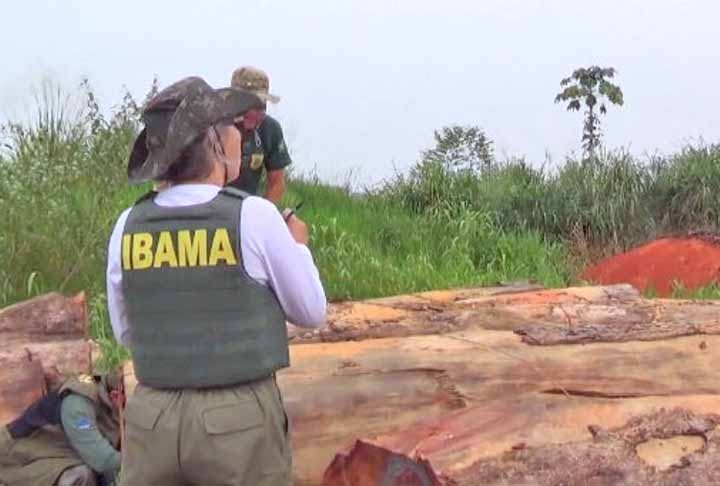 Em operação no sul do Amazonas, o Ibama destruiu nove madeireiras que atuavam clandestinamente na região.