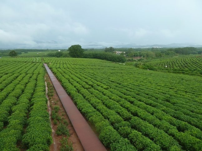 Atualmente, a economia local se baseia principalmente na agricultura, turismo e mineração. Reprodução: Flipar