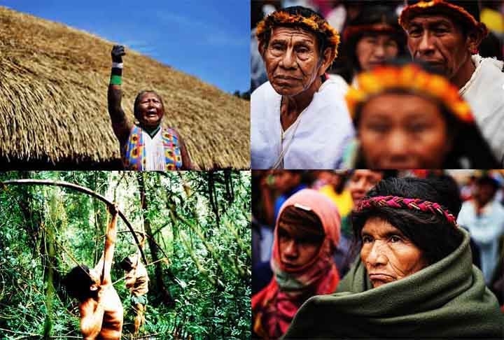 Paraguai: Povos como os Guarani representam uma parte essencial da cultura e língua do país, com o Guarani sendo cooficial. Apesar disso, muitas comunidades vivem em condições de vulnerabilidade. O governo implementa algumas políticas de inclusão, mas os desafios continuam.
 Reprodução: Flipar