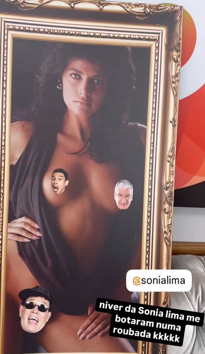 Quadro de ensaio da Playboy feito por Sônia Lima Reprodução: Instagram