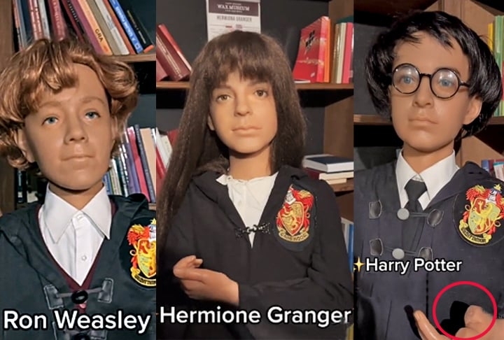 Só com magia negra Harry Potter, Hermione Granger e Ron Weasley ficariam assim... Que cabelos, hein...  E Hermione fez chapinha????? 