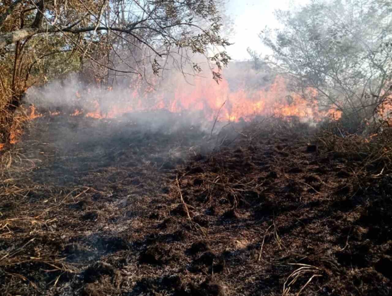 A Área de Proteção Ambiental Estâncias de Pendotiba, em São Gonçalo (RJ) também já foi parcialmente destruída por causa de incêndio causado por balão.  Reprodução: Flipar