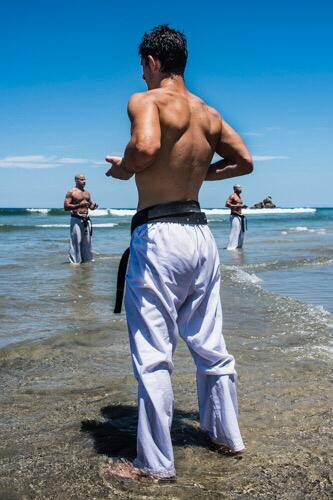 Evento de Seiwakai em SP, na praia de Juquehy, pregou união e respeito entre os praticantes. Foto: Divulgação / Reprodução