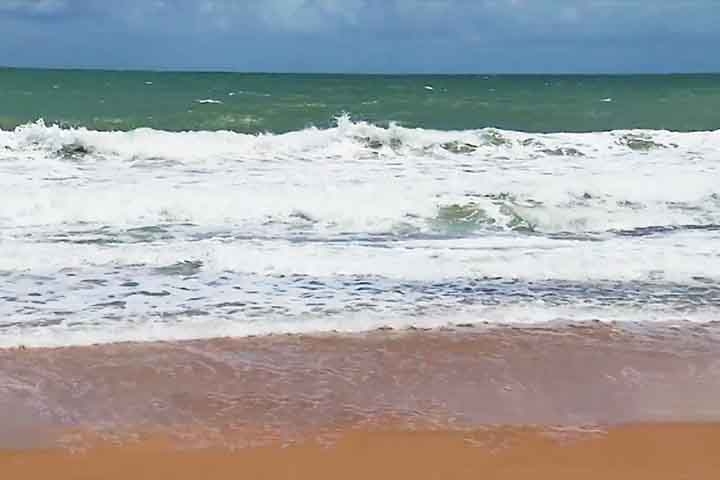 Com o descarte dessas embalagens na proximidade dos portos, o lixo acaba sendo carregado para as praias pelas correntes marítimas.
 Reprodução: Flipar