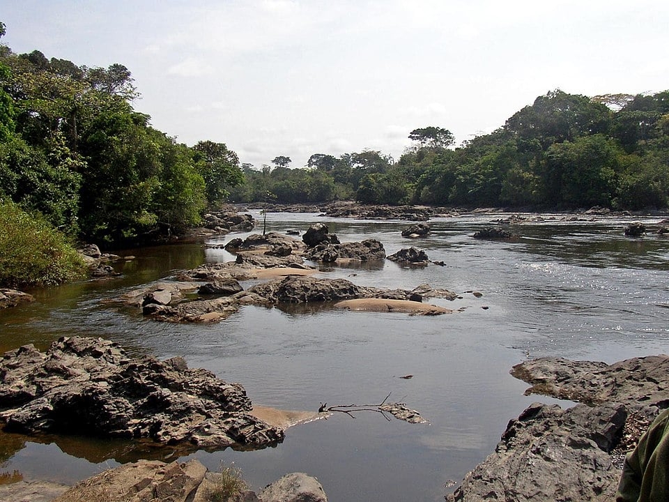 Na mesma latitude encontram-se a Floresta Amazônica, no Brasil, e a Floresta do Congo (foto), na África. Todas exuberantes.   Reprodução: Flipar
