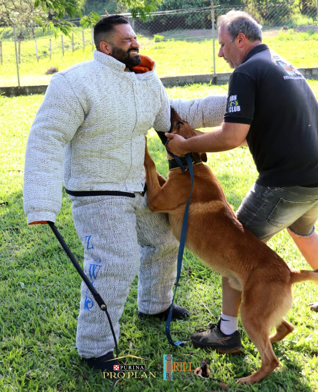 O animal é treinado para imobilizar criminosos em casos de fuga. Foto: Reprodução/Du Drill Ranch