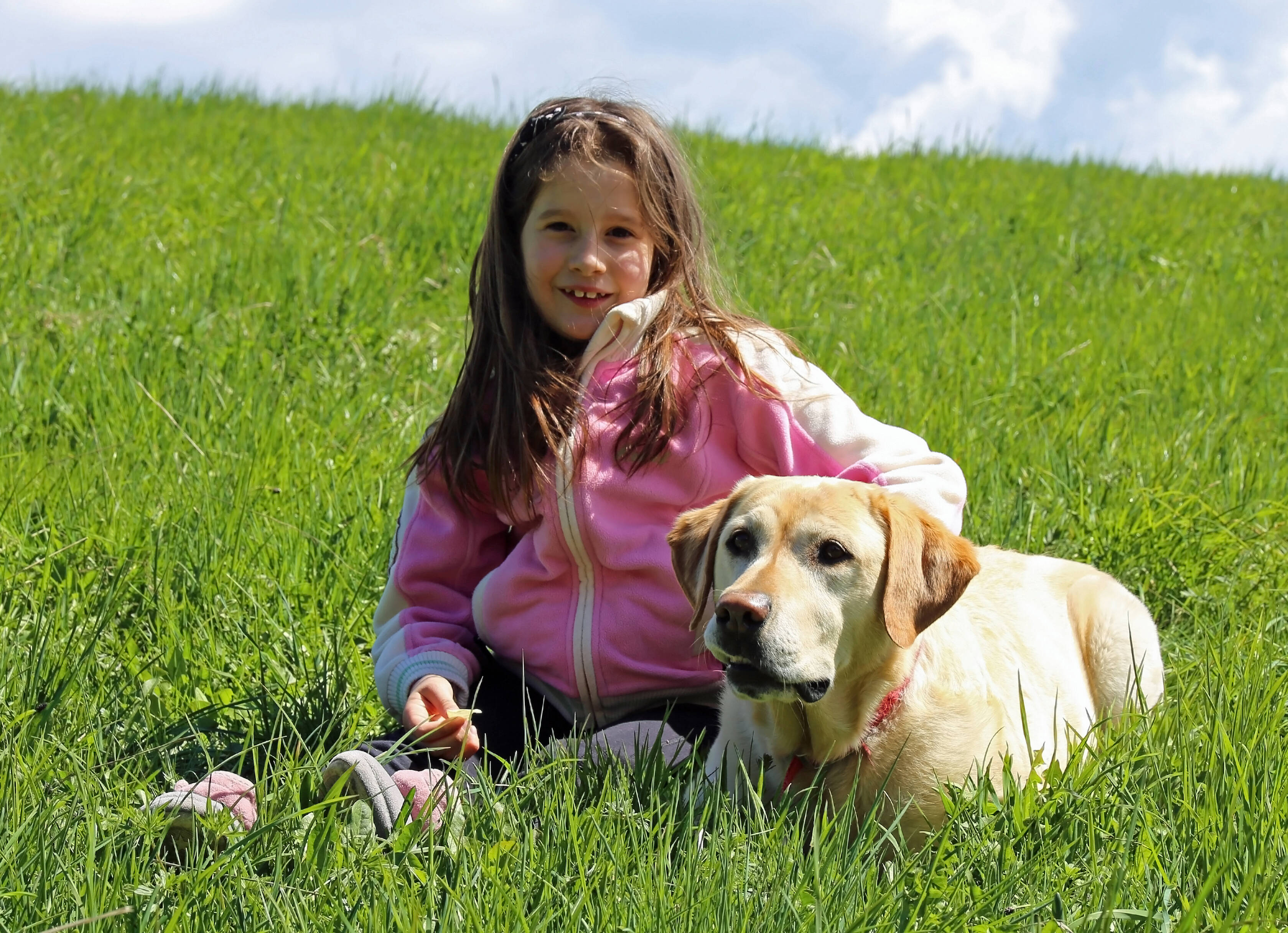 Um cão pode contribuir muito para o tratamento de uma criança autista. Foto: reprodução shutterstock