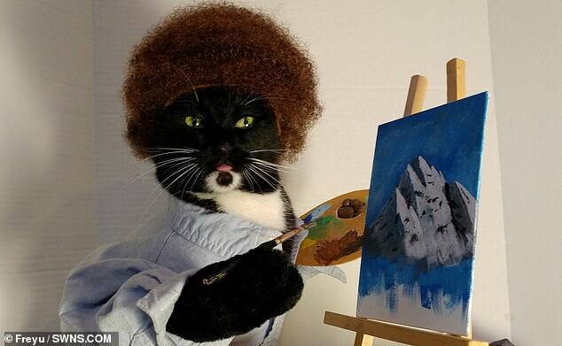 A versão gato do pintor Bob Ross. Foto: Freyu