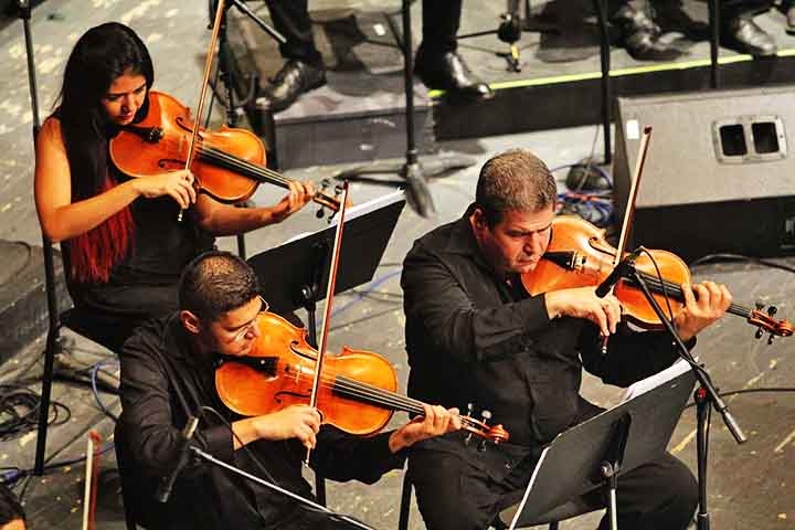 Violino: Possui quatro cordas afinadas em quintas, com som agudo e brilhante. Criado na Itália no século XVI por Andrea Amati, evoluiu a partir da rabeca medieval. É usado para melodias expressivas e lidera o naipe de cordas na orquestra. Reprodução: Flipar