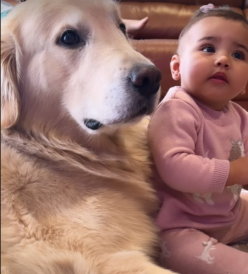 Bruna Biancardi compartilha um momento encantador de Mavie, de oito meses, se divertindo com o pet da família Instagram