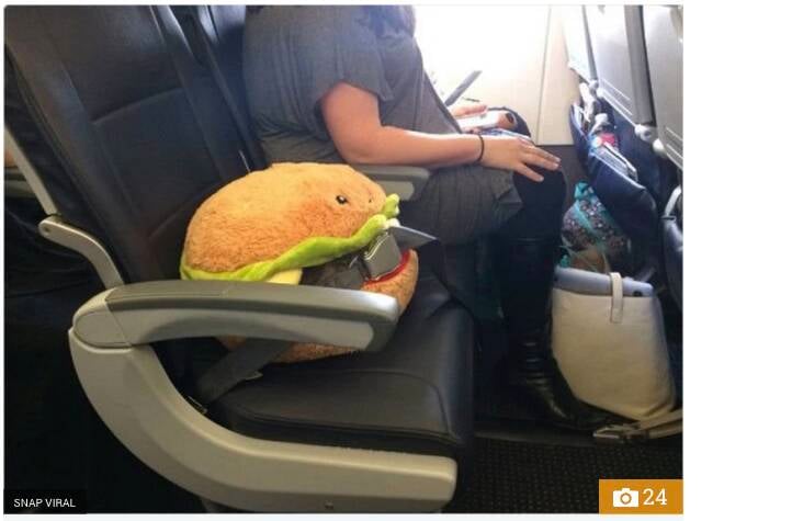 Não, não era um cachorro a bordo: foi um hambúrguer de pelúcia que ganhou o assento de honra dentre os passageiros da aeronave. Foto: Reprodução/The Sun/Snap Viral