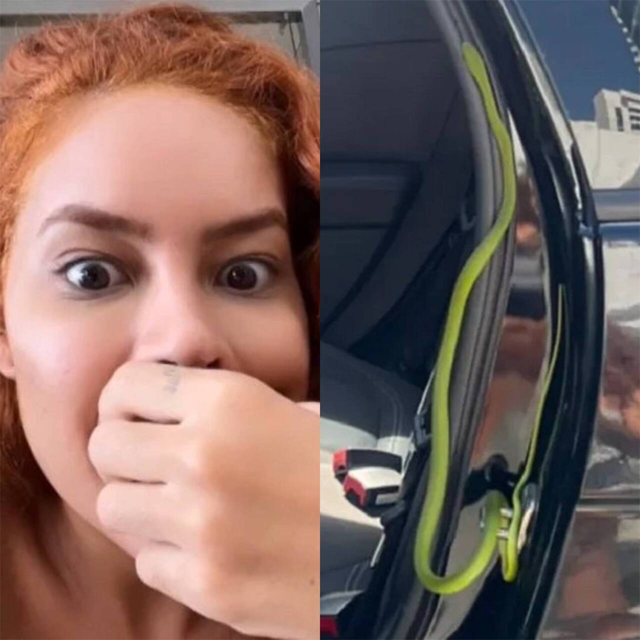 No Brasil, em maio, a influenciadora Sthe Matos se deparou com uma cobra na porta do carro de aplicativo Reprodução: Flipar