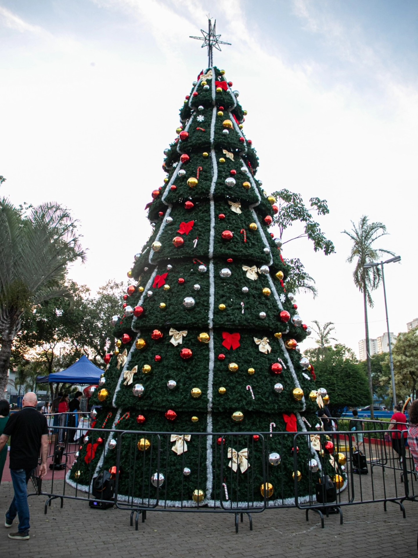 Árvore de Natal em São Caetano do Sul (SP). Foto: Divulgação / Prefeitura de São Caetano do Sul (SP)