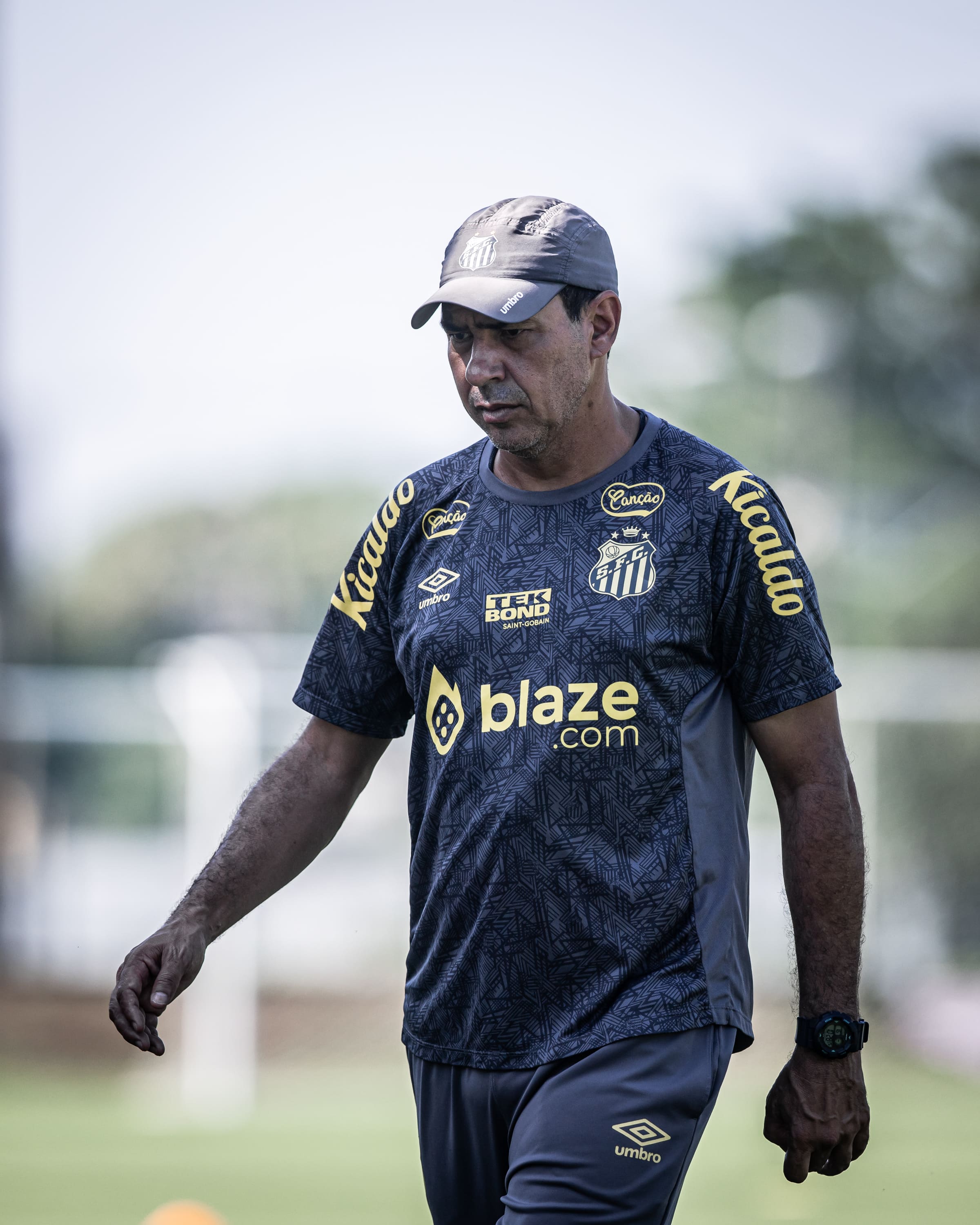 Fábio Carille Raul Baretta/ Santos FC