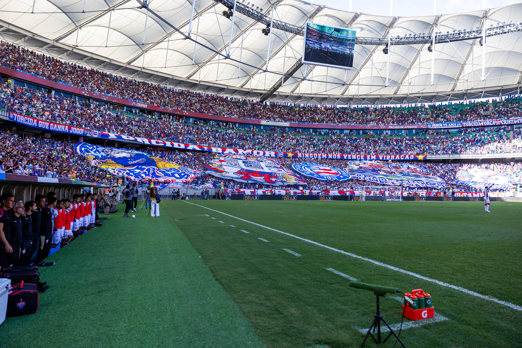 Torcida do Bahia. Foto: Letícia Martins/ EC Bahia