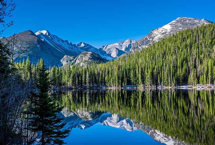 Estados Unidos - As Montanhas Rochosas têm grandes áreas de coníferas, como sequóias e pinheiros. Essas montanha se estendem por estados como Colorado, Wyoming e Montana, com picos elevados e paisagens impressionantes. Elas são um destino popular para atividades ao ar livre, como caminhadas, esqui e observação da natureza.


 Reprodução: Flipar