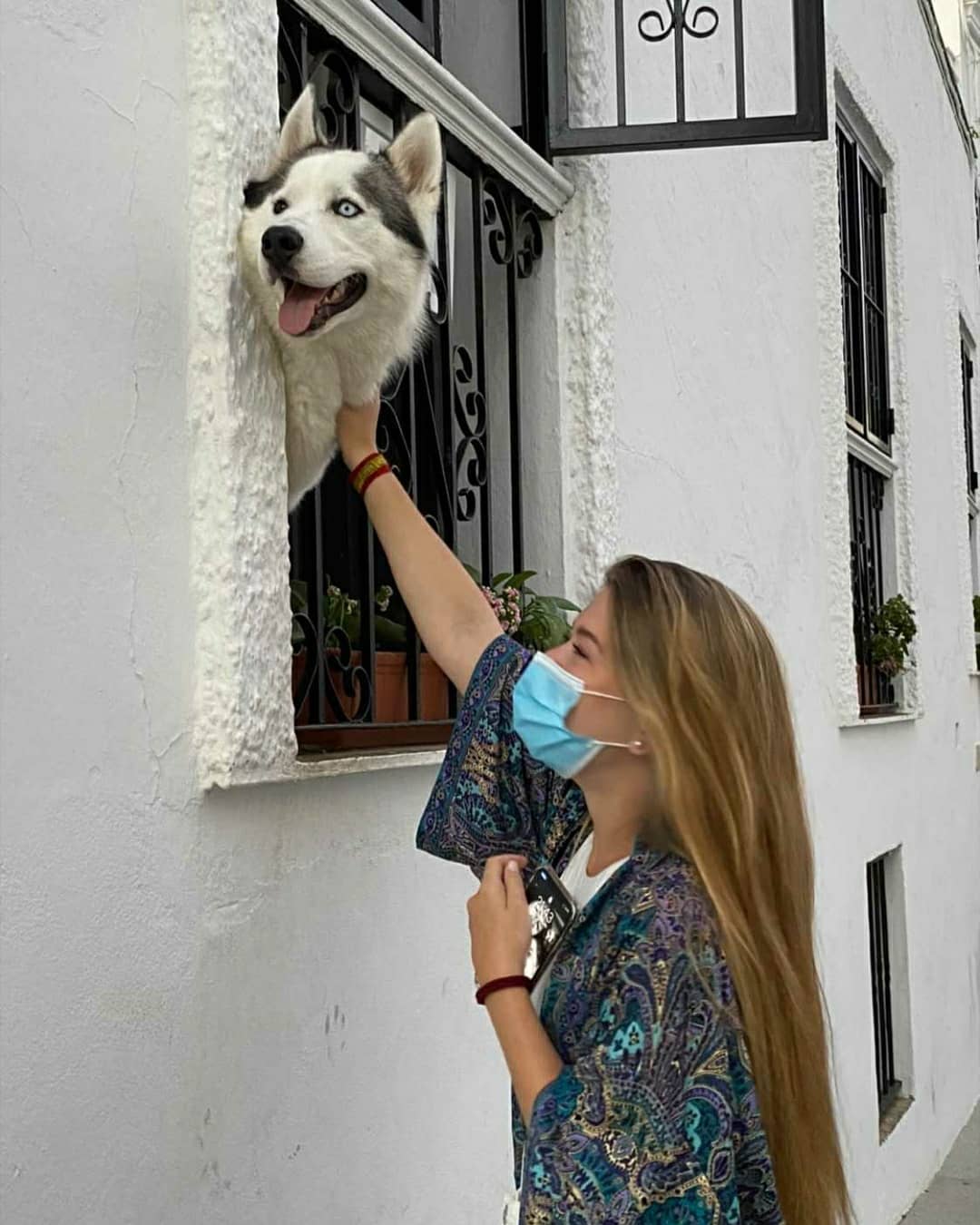 O cão se tornou um símbolo para a cidade. Foto: Reprodução/Instagram/@elbalcondehalong_
