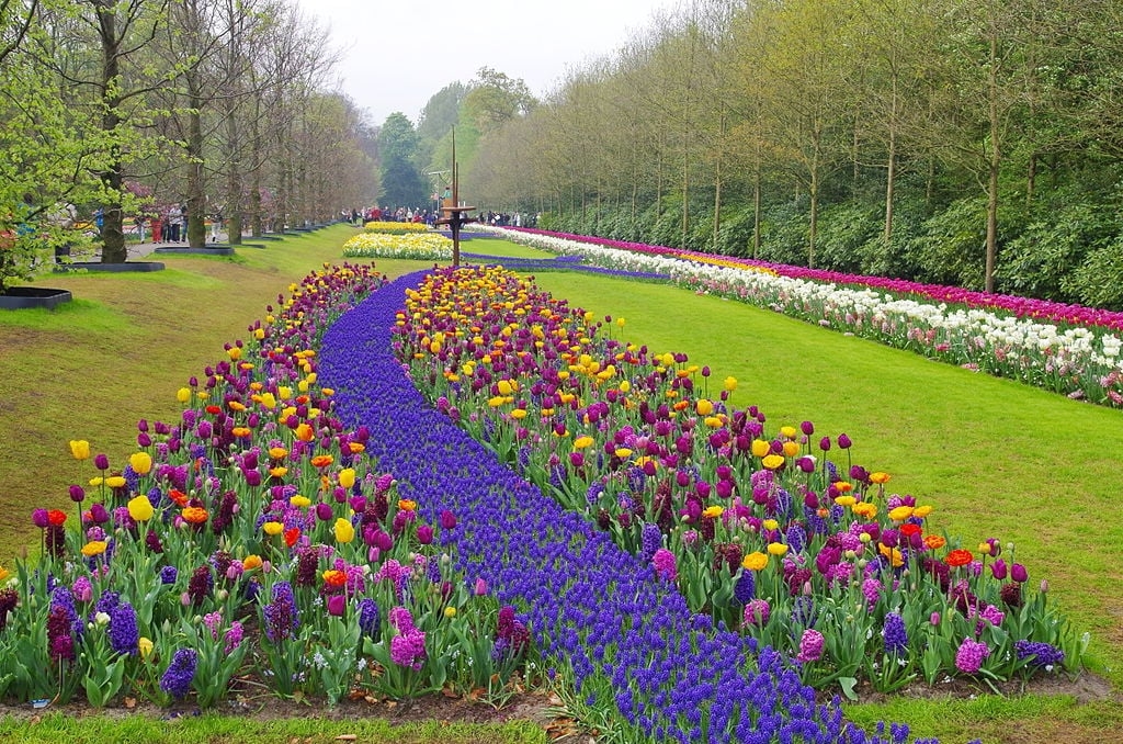 Para muitos, o Keunkenhof é o parque mais bonito do mundo destinado aos cuidados com flores. Fica na cidade de Rijnland, na Holanda, uma das principais áreas de cultivo de tulipas do planeta. Seus bem conservados jardins contêm uma admirável variedade de espécies. Reprodução: Flipar