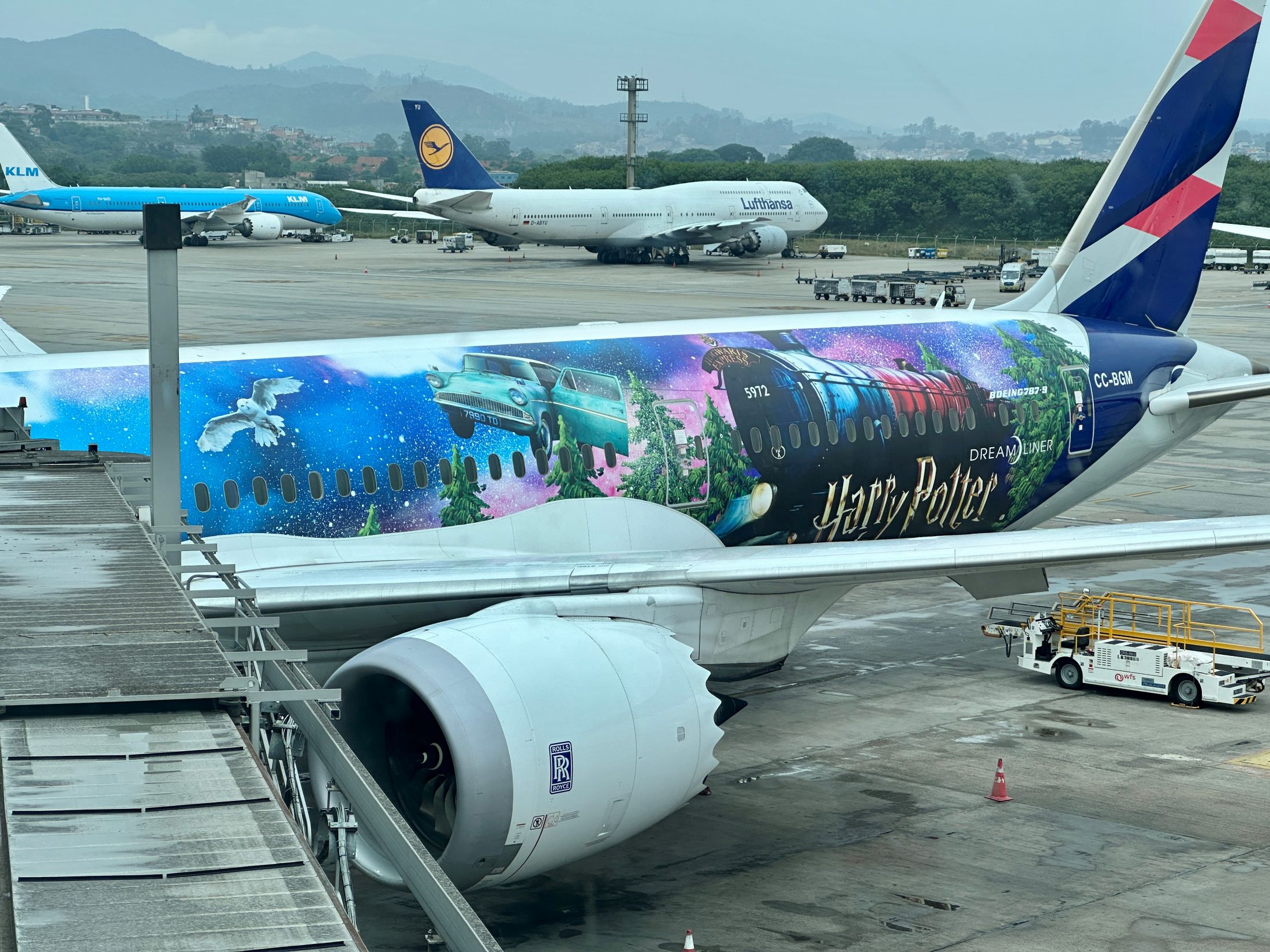 Aeronave decorada com o universo de Harry Potter. Foto: Divulgação / Latam
