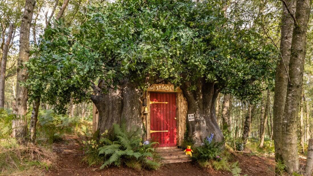 Casa da árvore do Ursinho Pooh poderá ser alugada por fãs do persoangem por R$522 a diária!. Foto: Airbnb/Henry Woide