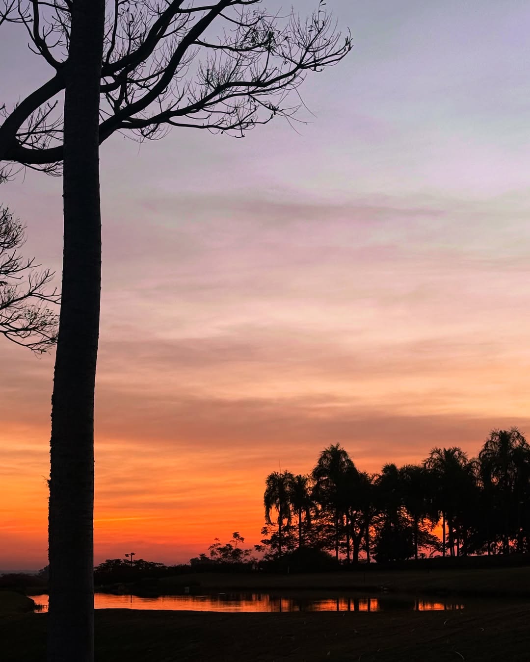 Sabrina Sato posa em cliques ousados com Nicolas Prattes. Foto: Instagram