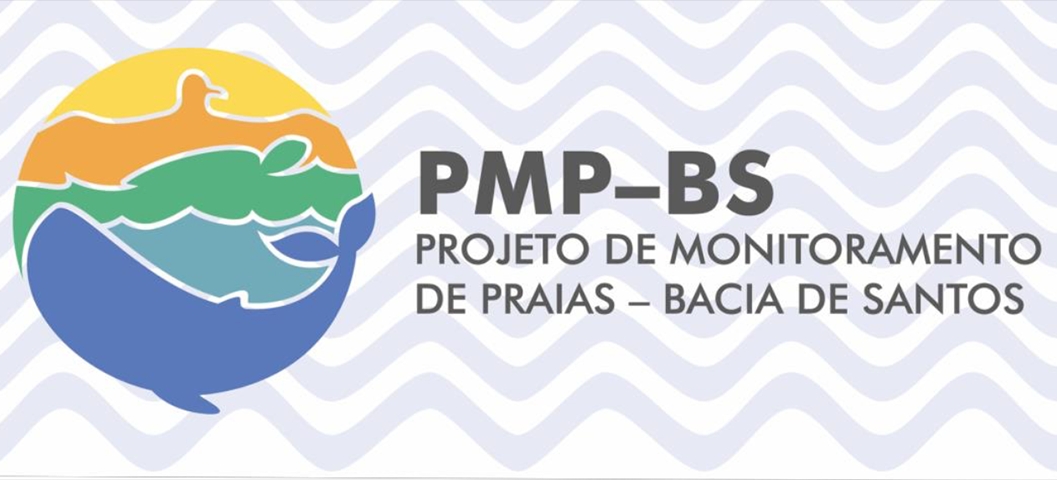 De acordo com o Projeto de Monitoramento, os pinguins sofrem mais que outras aves para escapar das ondas fortes porque não voam. Por isso, acabam morrendo afogados. Reprodução: Flipar