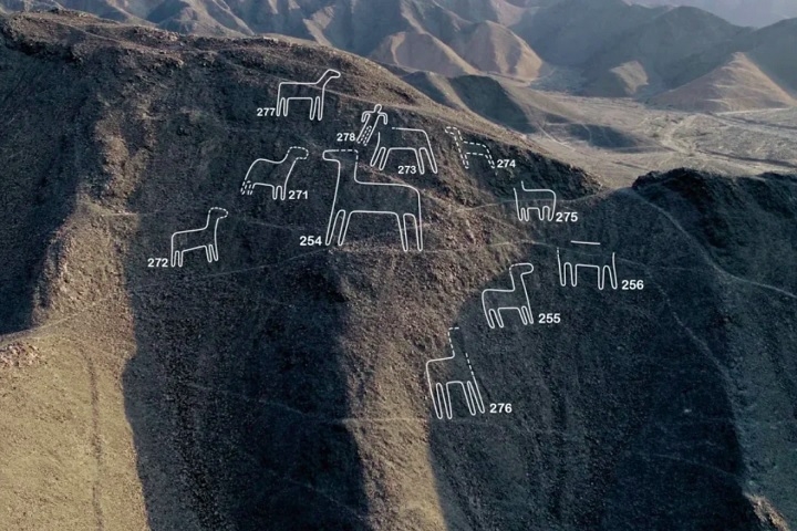 Recentemente, com a ajuda da inteligência artificial (IA), cientistas dobraram o número de figuras conhecidas e identificaram 303 novos geoglifos em apenas seis meses. Reprodução: Flipar