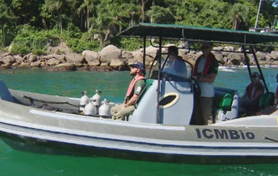 Desde 2018 o Ministério do Meio Ambiente e órgãos vinculados a ele, como o Ibama , fazem monitoramento e tentam evitar a proliferação do coral-sol . Reprodução: Flipar
