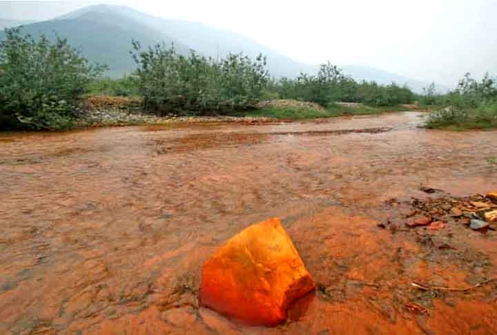 O que tem preocupado os cientistas é o potencial impacto ecológico da mudança de cor dos rios, ou seja, de que forma isso pode afetar a flora e a fauna típicas da região.  Reprodução: Flipar