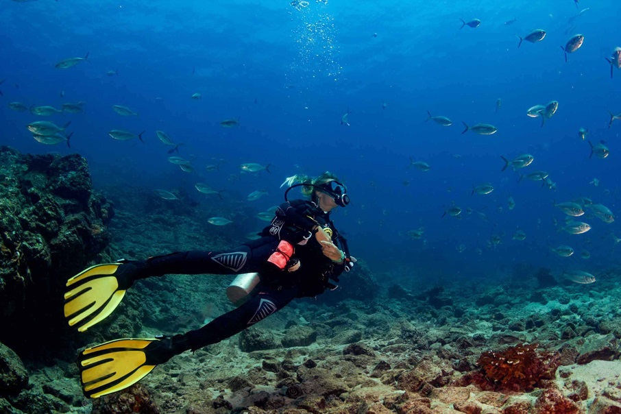 4- Nacional Coiba é paraíso intocado de vida marinha: O Parque Nacional Coiba é um dos 50 Patrimônios Mundiais Marinhos da UNESCO e protege 38 ilhas menores e as áreas marinhas circundantes no Golfo de Chiriqui. A floresta tropical úmida do Pacífico de Coiba mantém níveis excepcionalmente elevados de animais, aves e plantas endémicas devido à evolução contínua de novas espécies. Divulgação / Promtur Panamá