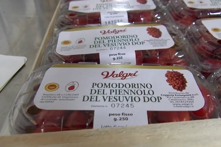 Pomodoro Vesuvino: Cultivado nas encostas do Vesúvio, esse tomate, que já foi até considerado o melhor do mundo, se beneficia do solo vulcânico da região, resultando em um sabor único com notas minerais.  Reprodução: Flipar